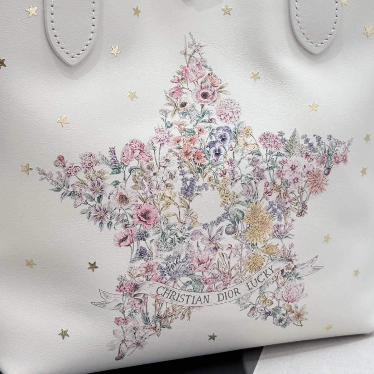 VERTICAL SMALL DIOR LUCKY DIOR TOUJOURS TOTE BAG
