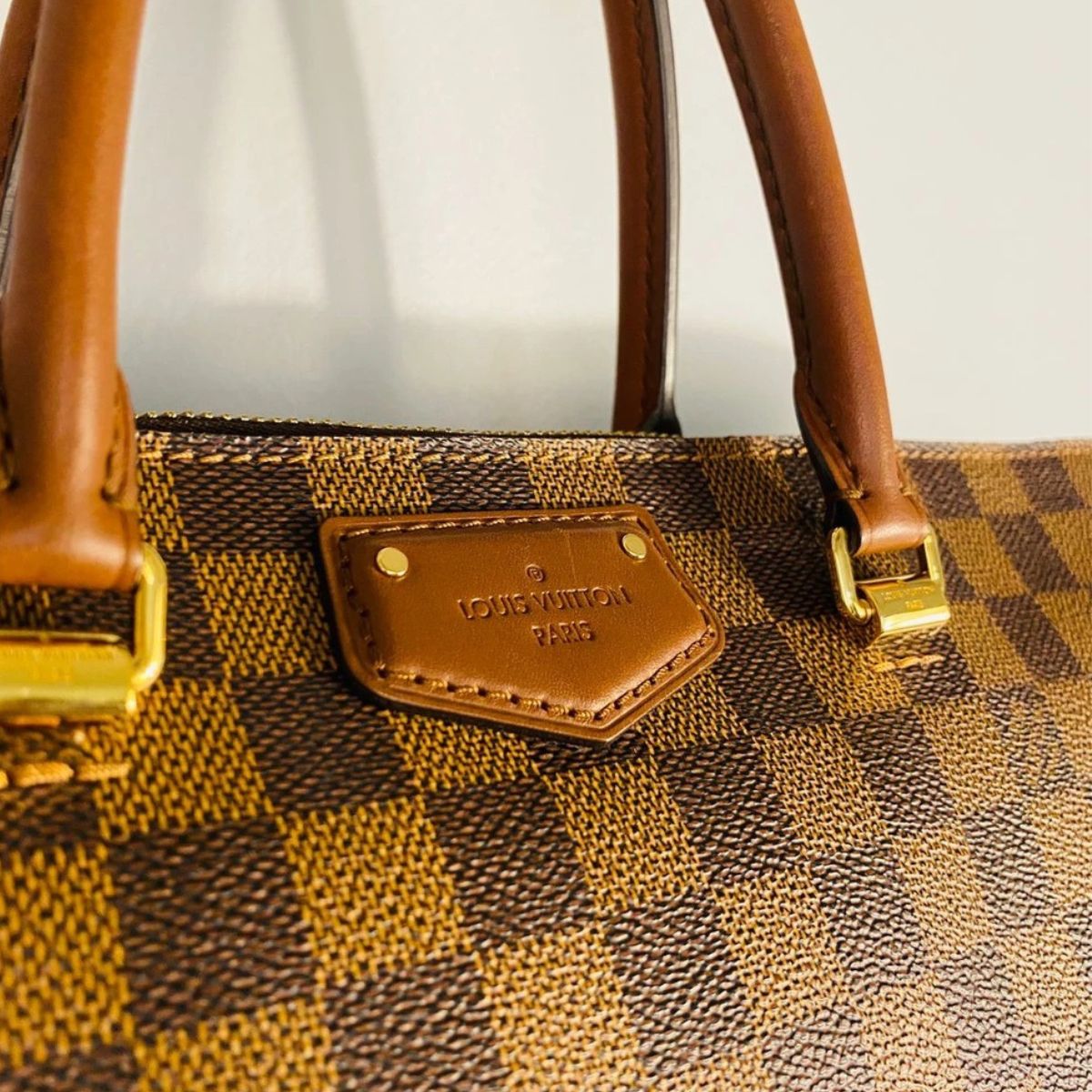 LOUIS VUITTON SALEYA PM